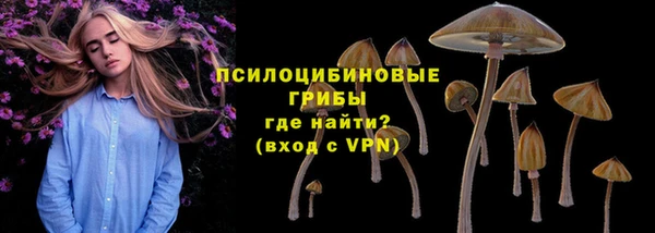 ПСИЛОЦИБИНОВЫЕ ГРИБЫ Беломорск