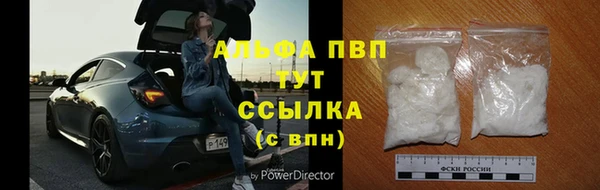 Альфа ПВП Белокуриха