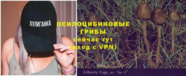 ПСИЛОЦИБИНОВЫЕ ГРИБЫ Беломорск